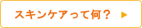 �X�L���P�A���ĉ��H