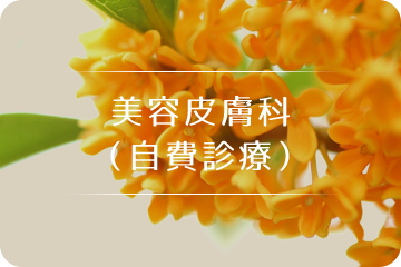 美容皮膚科（自費診療）